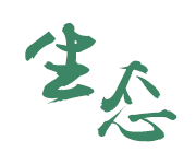 bet365 kodi bonus